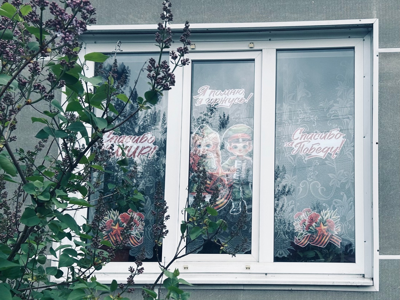 Окна Победы