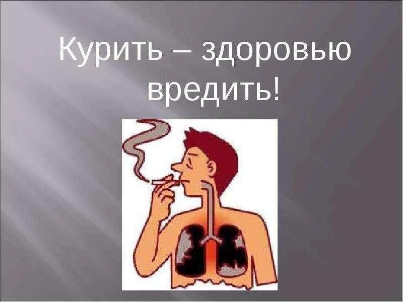 Просветительная программа