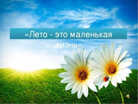 Лето это маленькая жизнь