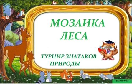Мозаика леса