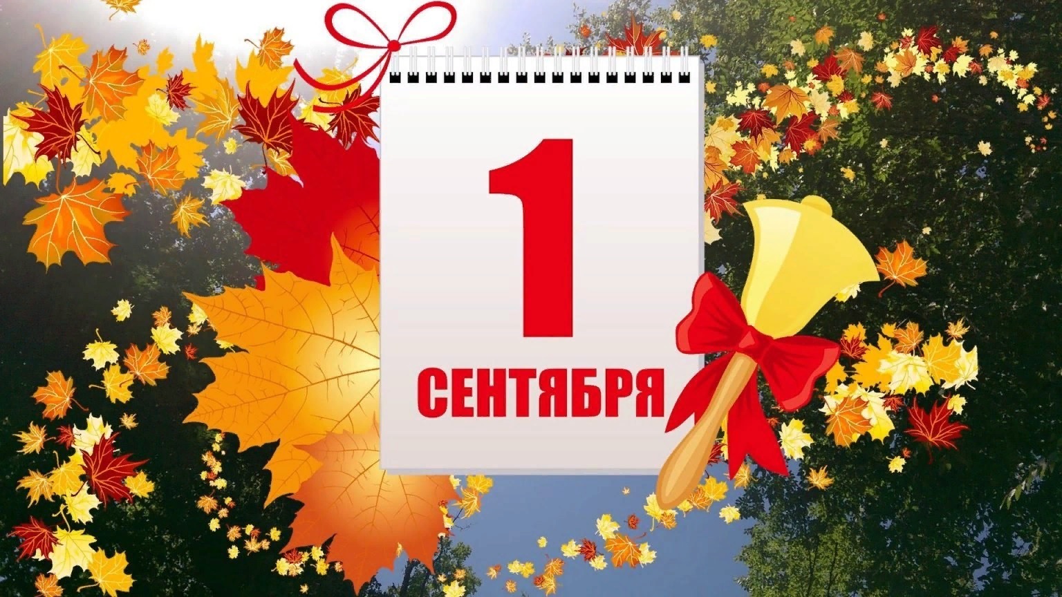 Знания сила!