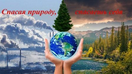 Сохрани дерево