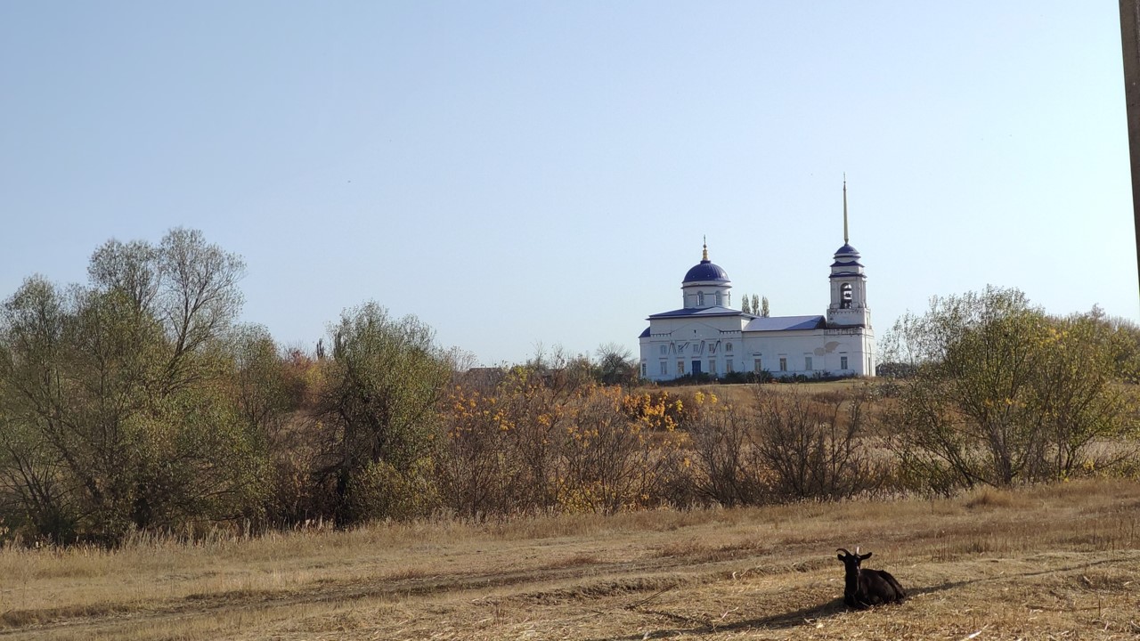 «Край мой-моя история»