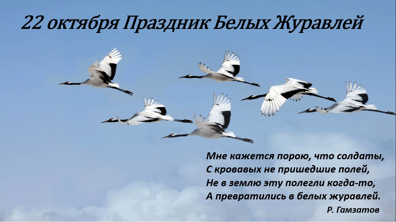 День белых журавлей отмечается в России 22 октября. 