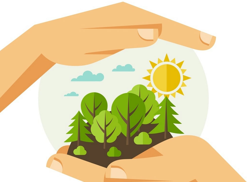 Международный день лесов