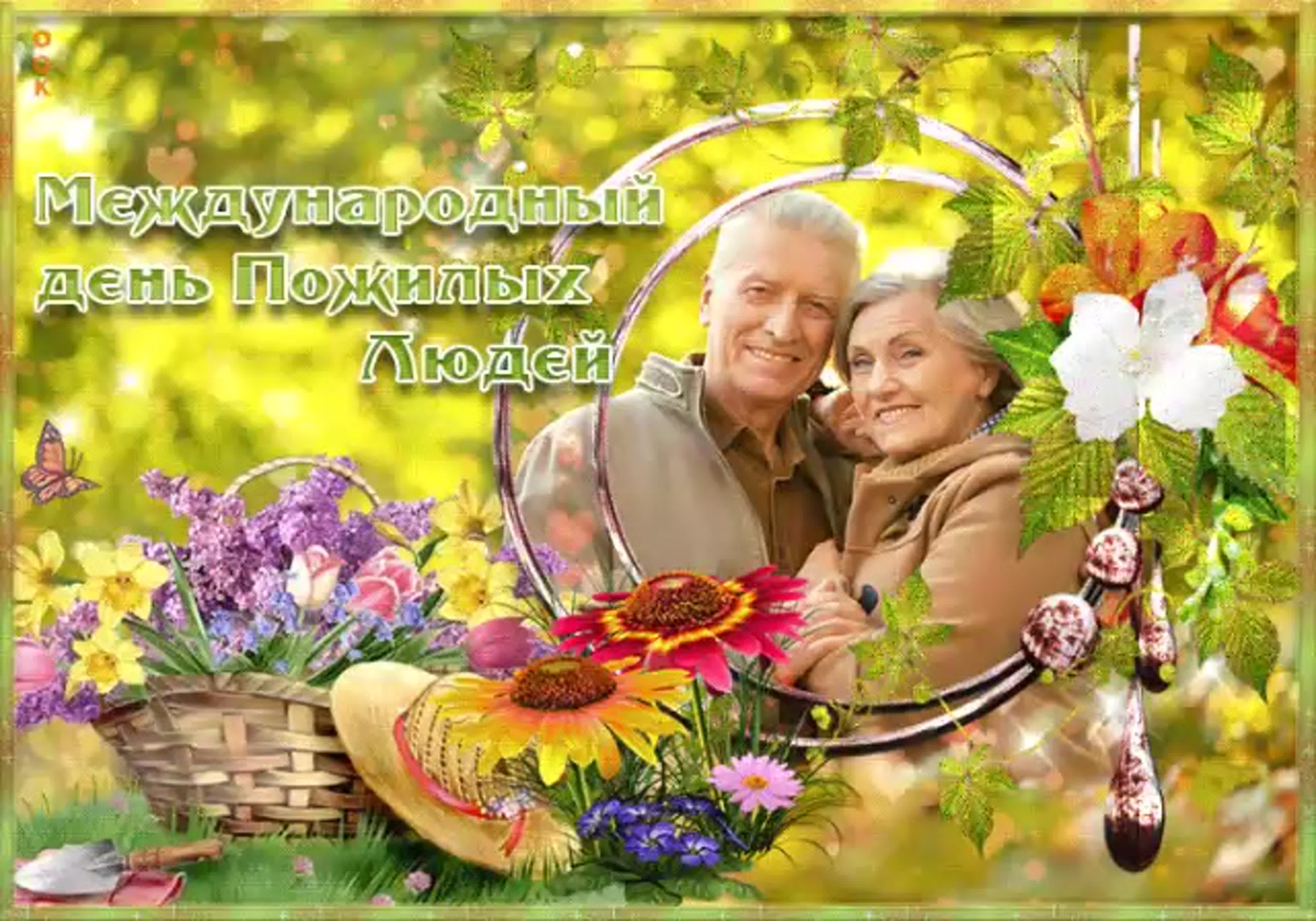 Тематическая программа «Нам года не беда