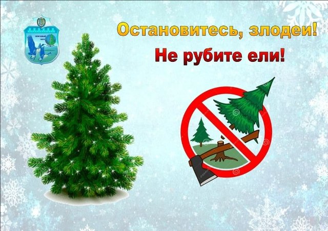 Экологический час 