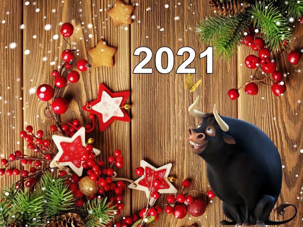 Символ года 2021