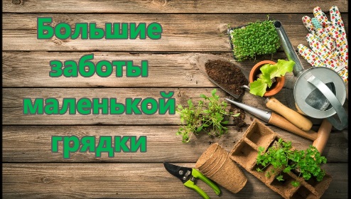 Большие заботы маленькой грядки