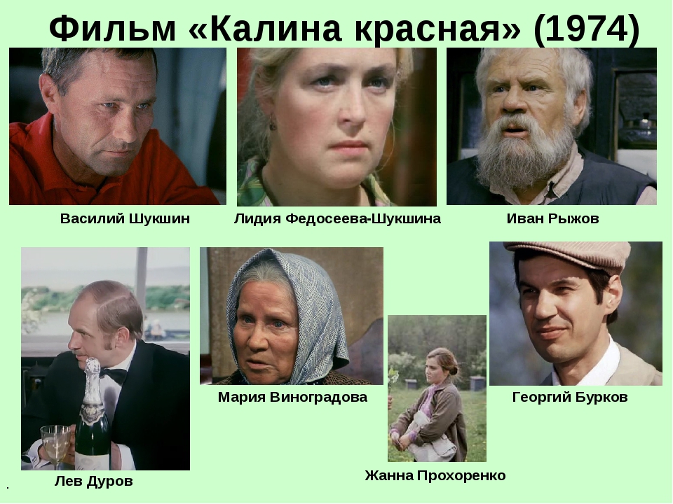 Калина красная