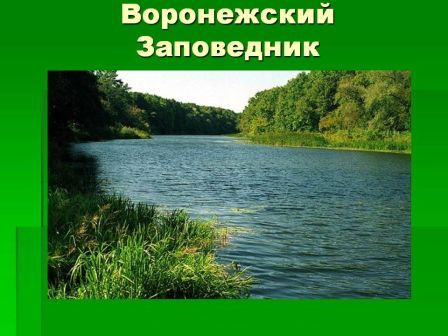 Заповедная даль
