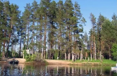Родной земли очарованье