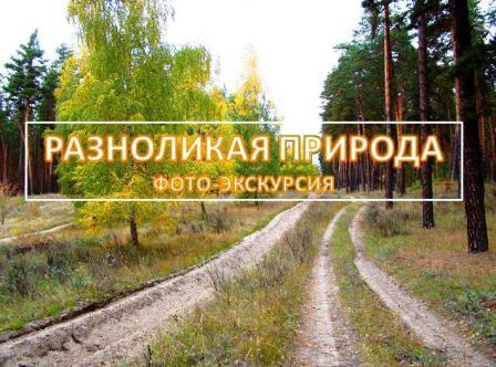 Разноликая природа