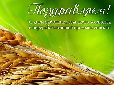 Концерт, посвященный Дню работников сельского хозяйства и перерабатывающей промышленности.