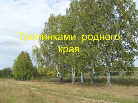 Краеведческое путешествие 