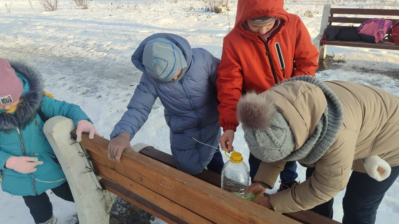 «Покормите птиц зимой»