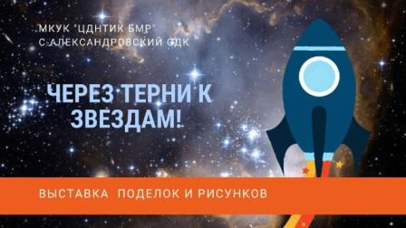 Через тернии к звездам 