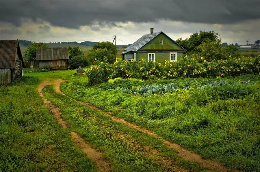 С любовью к родному селу