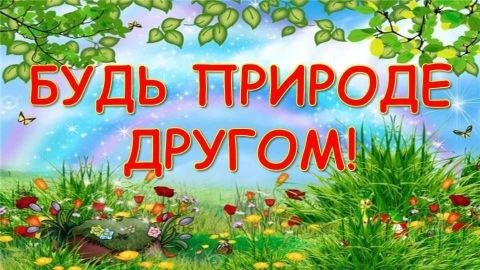Экологический час 