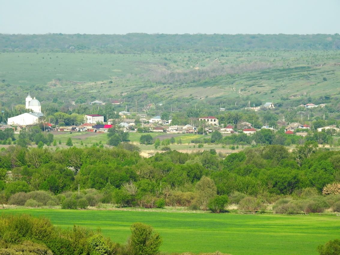 Концерт 