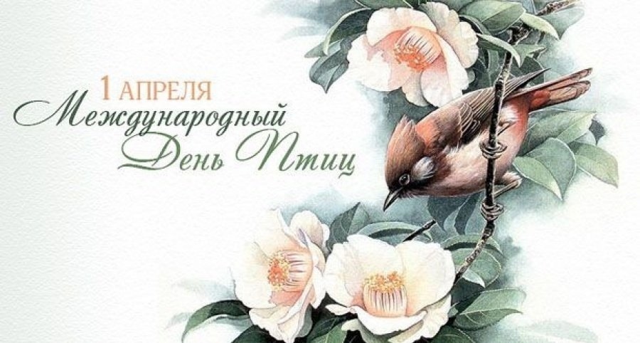 Международный день птиц – праздник единения человека с природой
