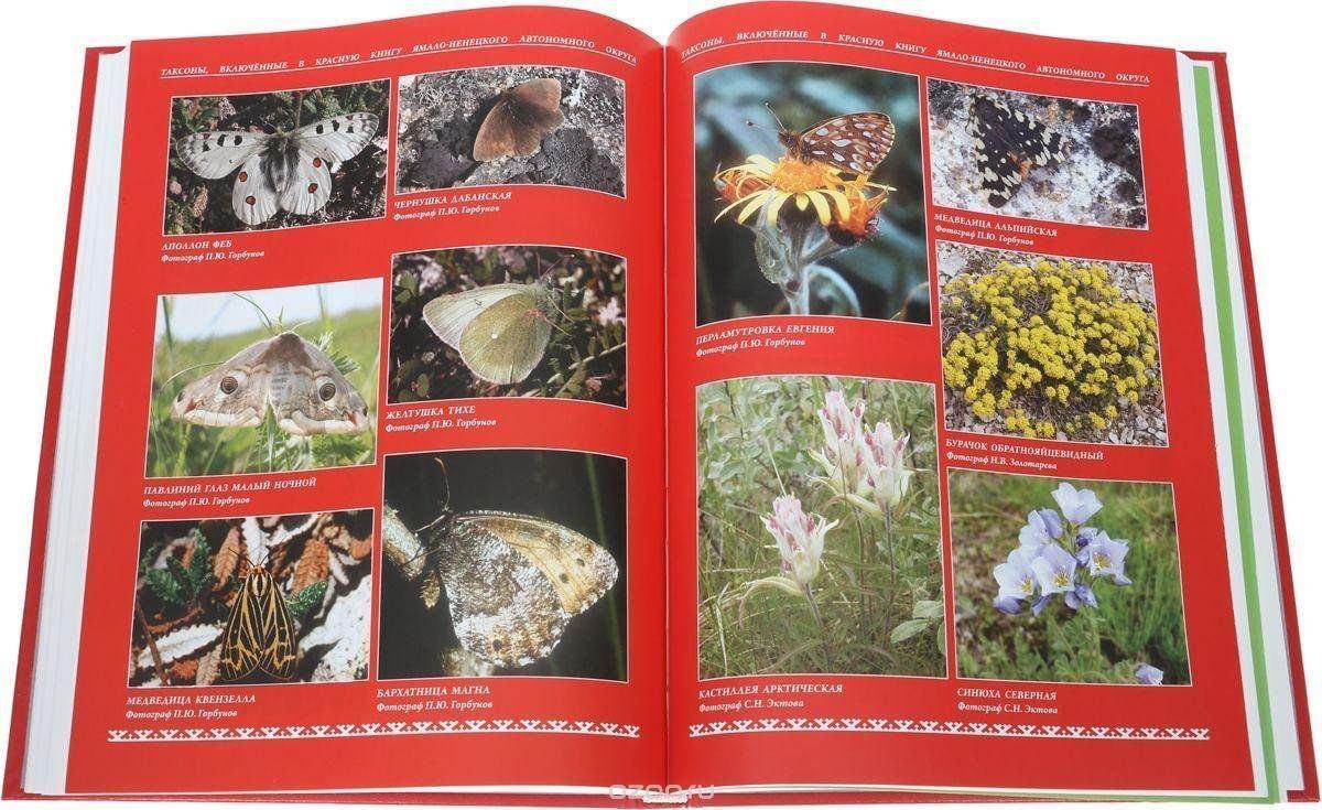 Познавательная программа « Жалобная книга природы»