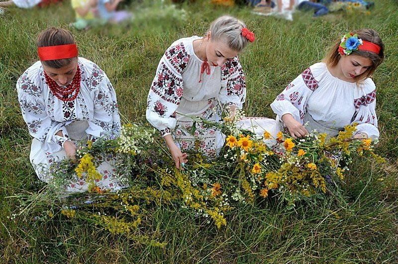 Аграфена - купальница (сбор трав, кореньев для изготовления травяных картин )