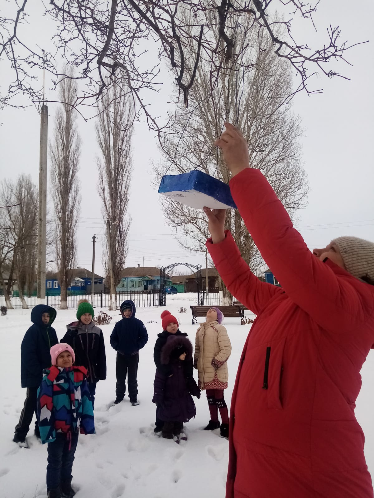 Покорми птиц зимой 