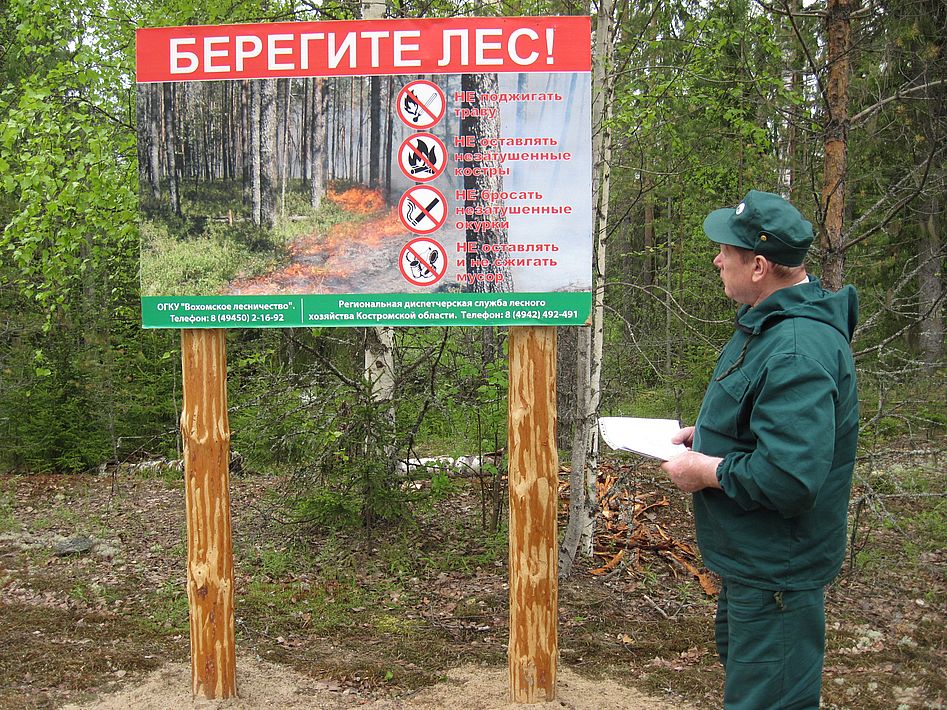 «Лес наше богатство»