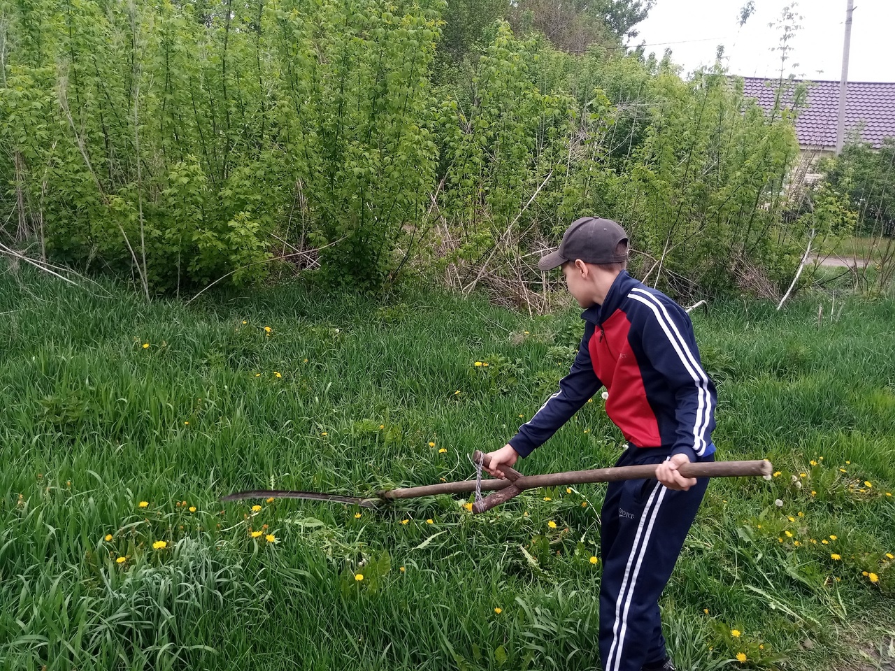 Помощь на дому «Мир цвета надежды»