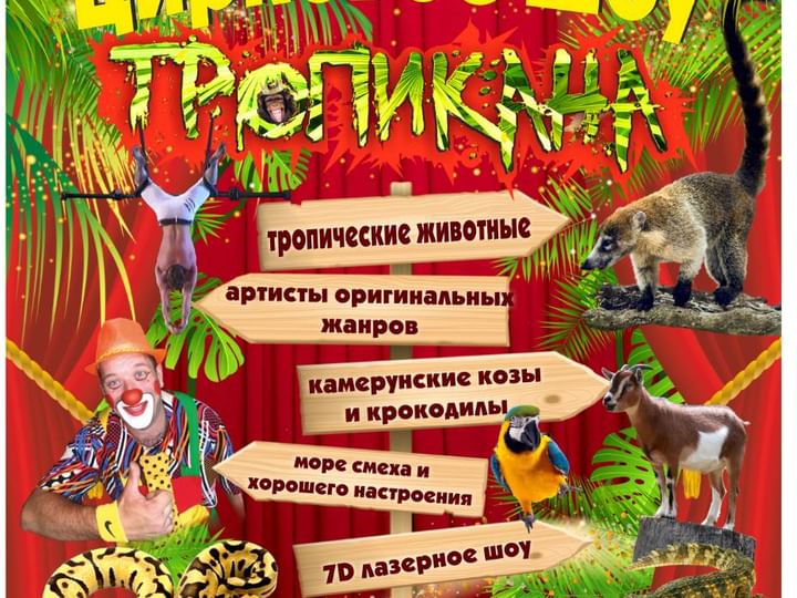 Цирковое шоу 