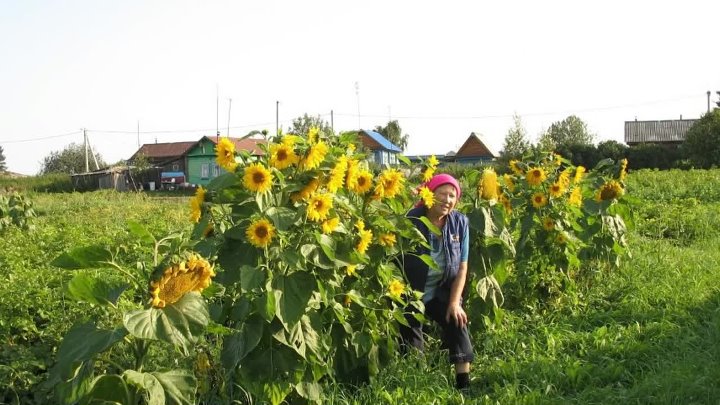 Видеоролик 