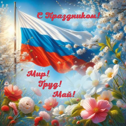Развлекательная программа 
