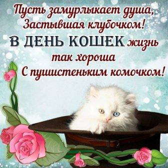 НАШИ ПУШИСТИКИ