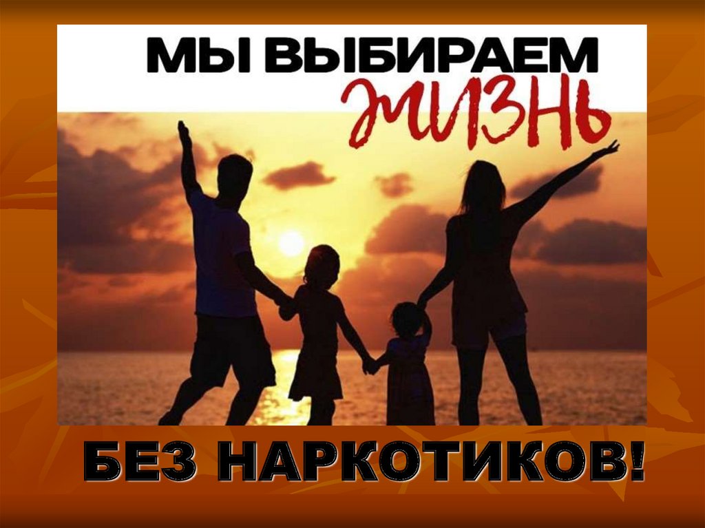 «Speis – чума XXI века!» 