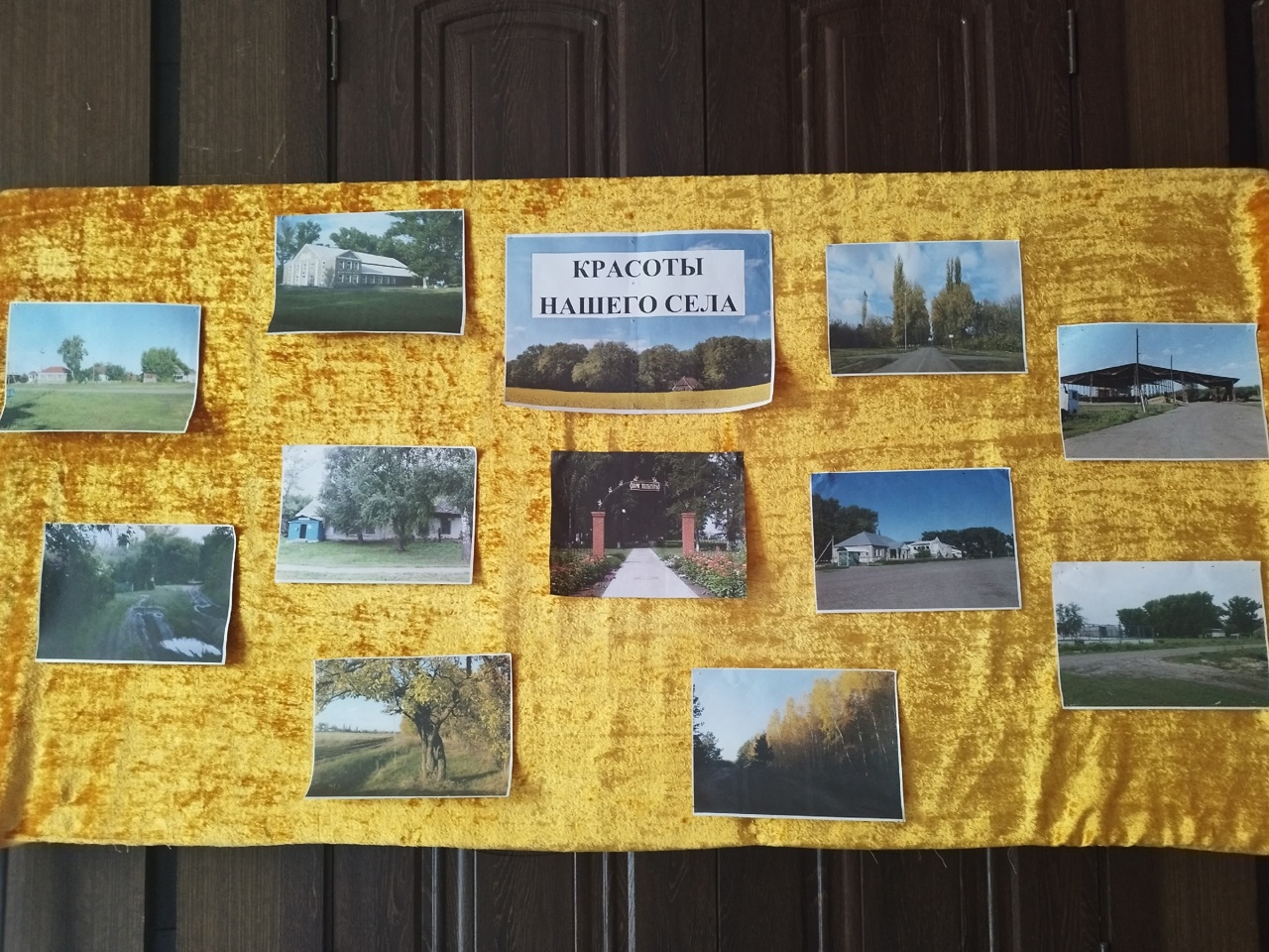 Фотоконкурс «Красоты родных улиц»