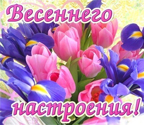 Развлекательная программа 