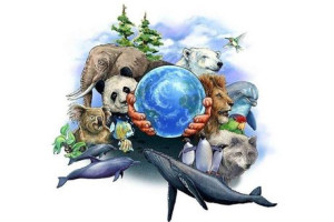 «У нас единая планета»