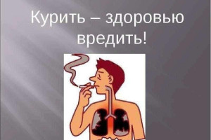 Просветительная программа