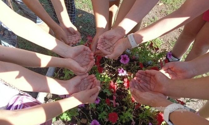 «Капля жизни» «Капля жизни»