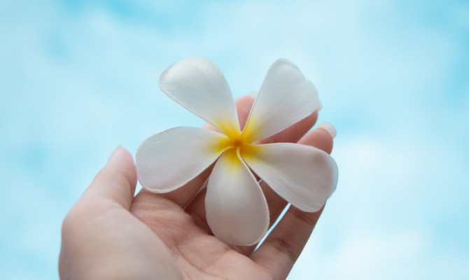 «Белый цветок»