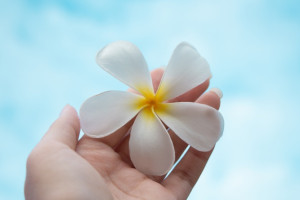 . «Белый цветок».