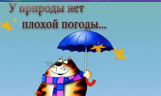 Тематическая программа Тематическая программа