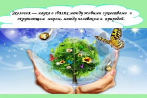 Экология и мы