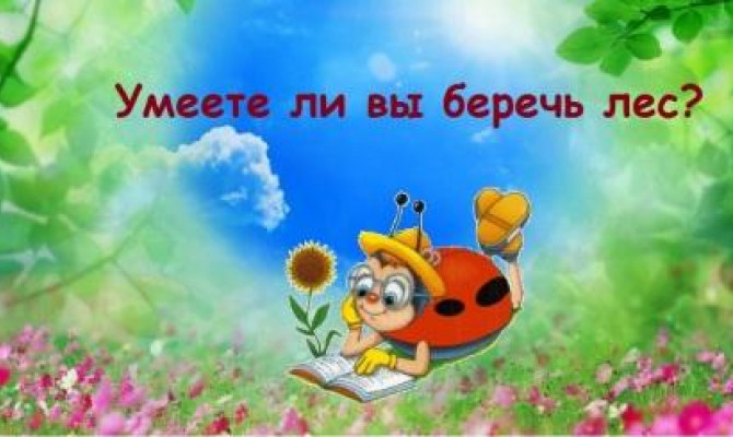 Умеете ли вы беречь лес?