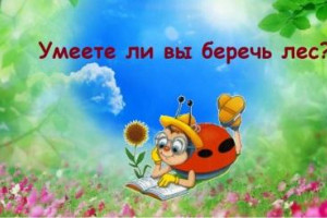 Умеете ли вы беречь лес?