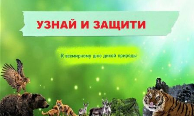 Узнай и защити