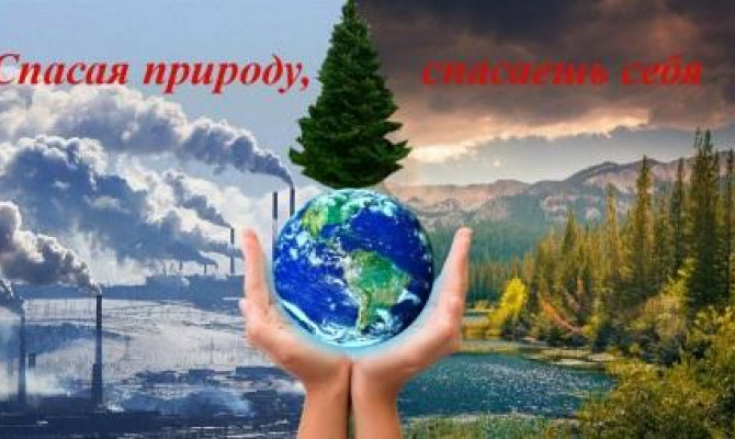 Экология и мы