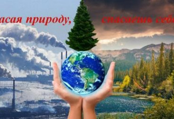Сохрани дерево