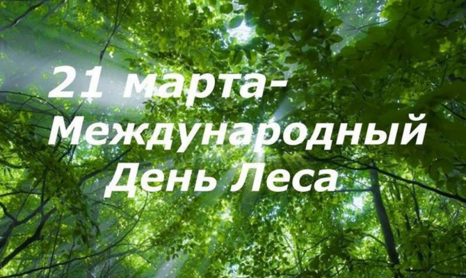 Тематическая программа «Международный день лесов
